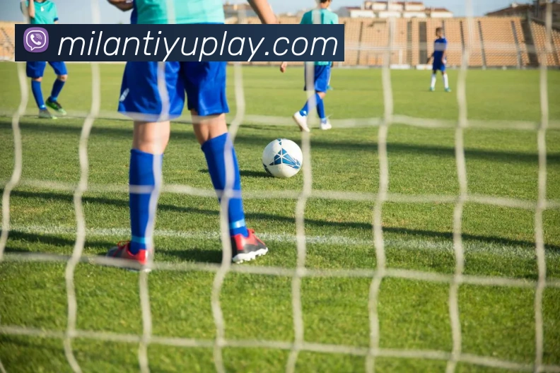 多媒体互动体验